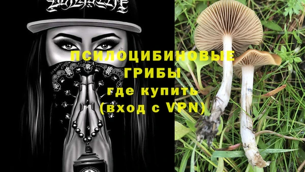 дмт Бугульма