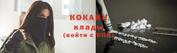 прущие крисы Бородино